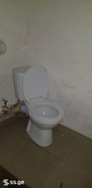 https://static.ss.ge/20260703/14_8683df65-8889-42fb-9e48-c0bf2d1c0b59_Thumb.jpg