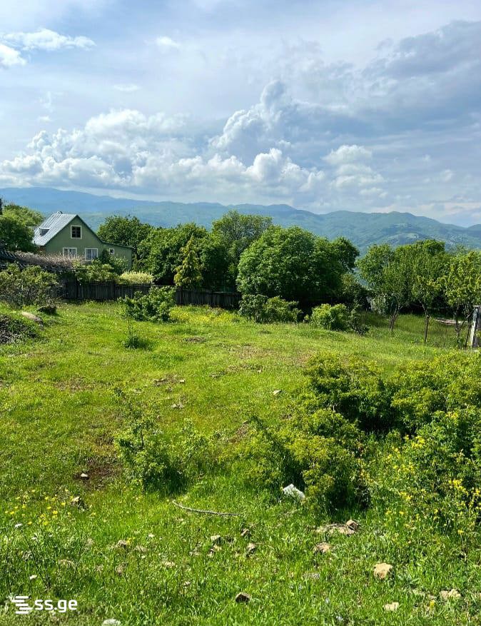 Land For Sale. Betania view 4