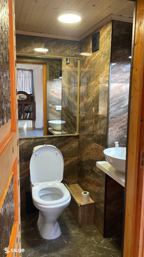 3 Room Private House Daily Rent. Nadzaladevi view 11