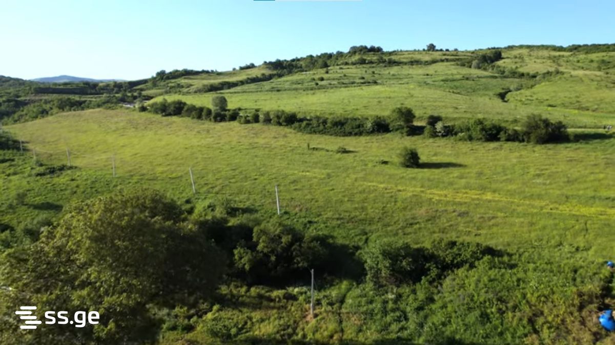 Land For Sale. Manglisi view 2