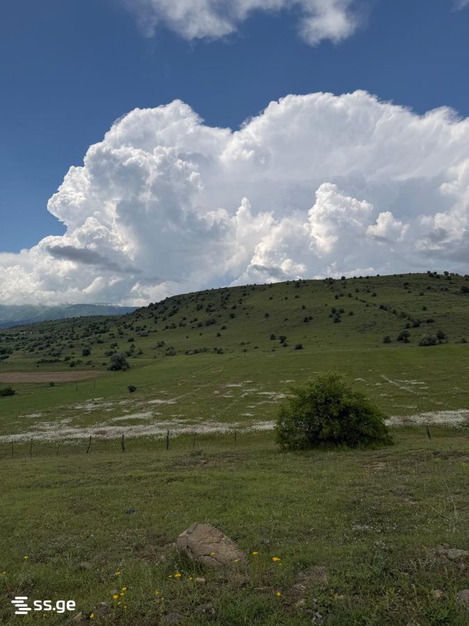 Land For Sale. Abastumani view 3