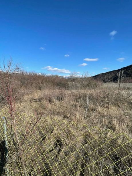 https://static.ss.ge/20260703/15_0b68b092-4896-486a-863a-130cb4d62fdb_Thumb.jpg