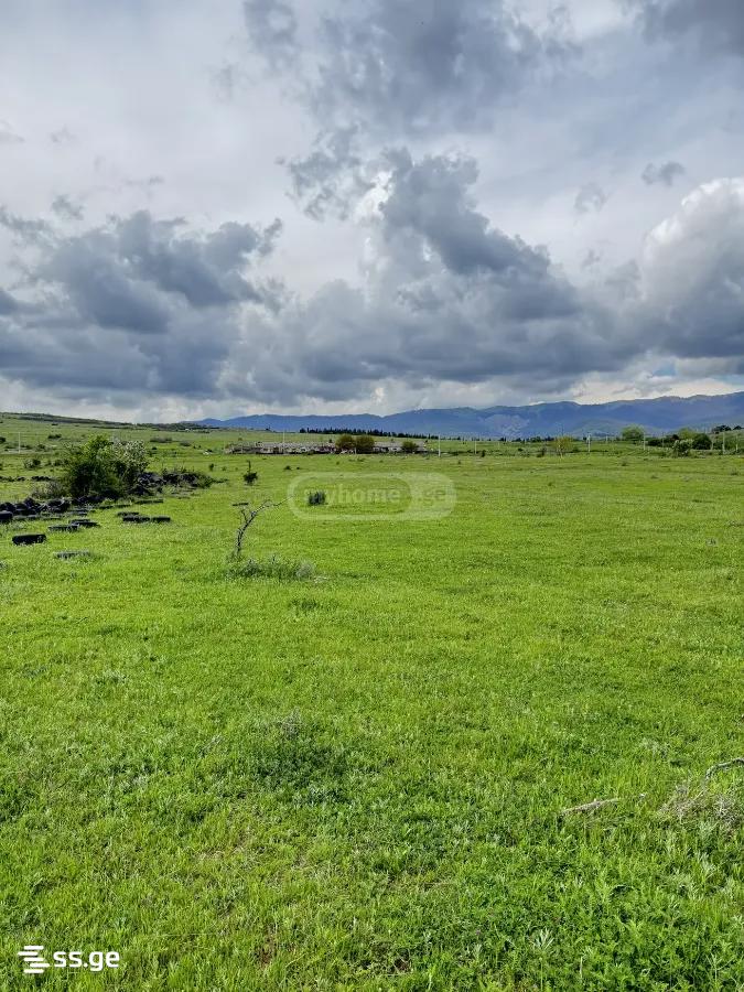 Land For Sale. Martkofi view 2