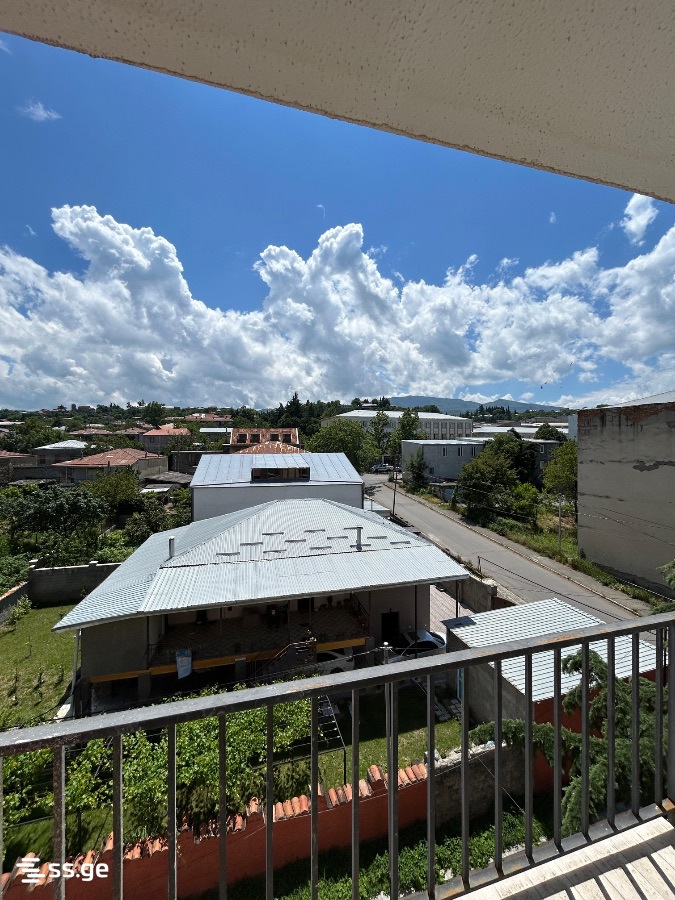 2 Room Flat For Rent. Telavi view 8