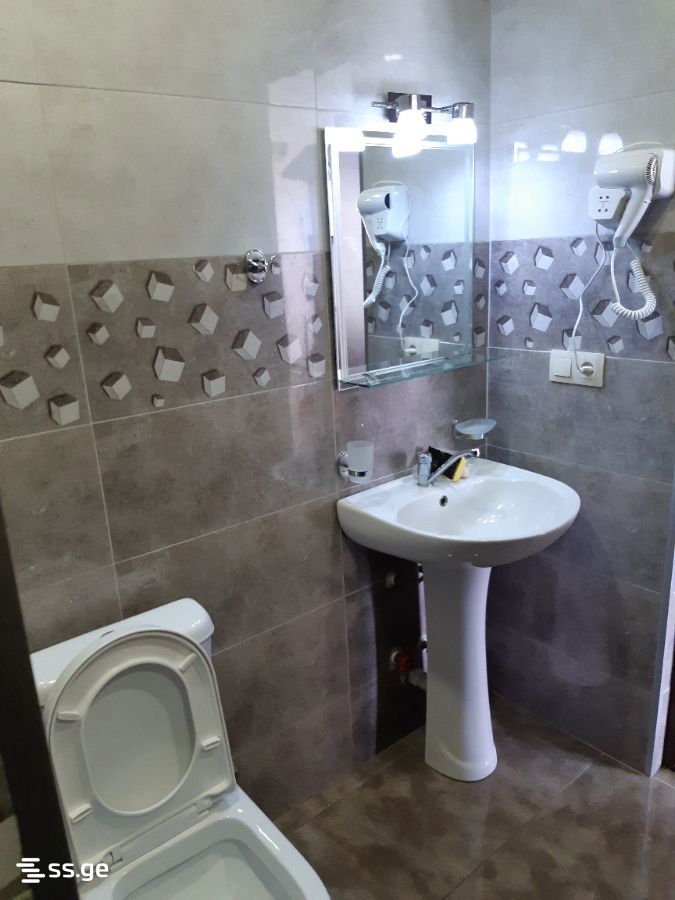 2 Room Flat Daily Rent. Bakuriani view 6