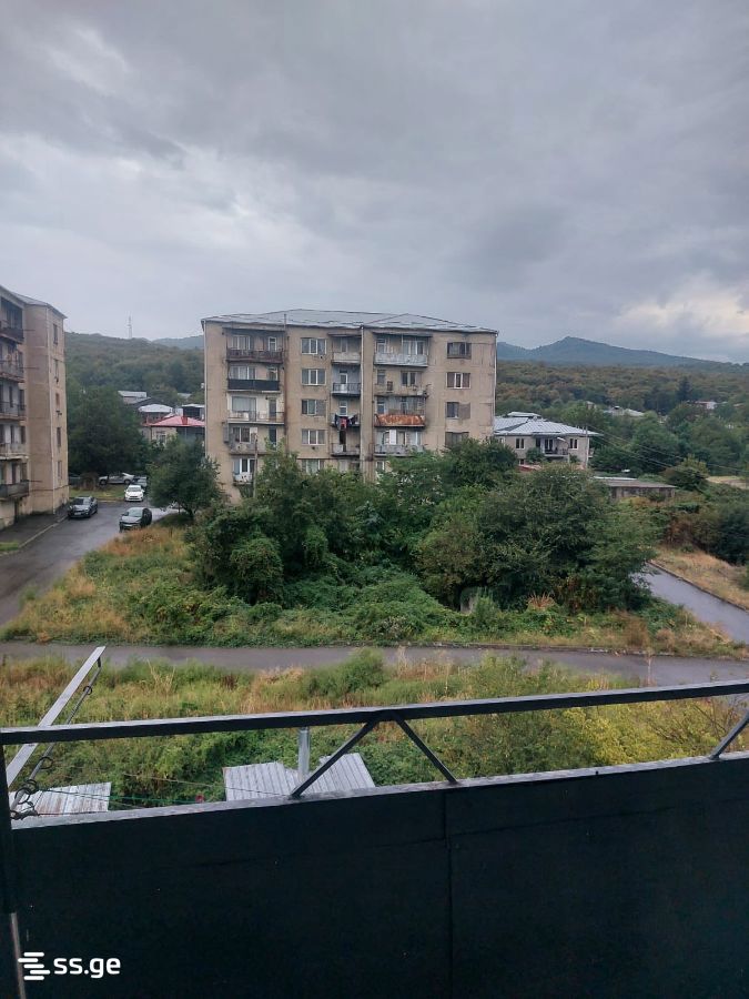 2 Room Flat For Rent. Telavi view 10