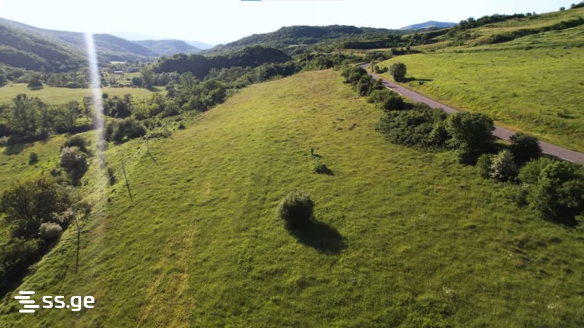 Land For Sale. Manglisi view 4