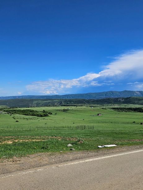 https://static.ss.ge/20260703/18_7f09da6d-5af0-46eb-9d17-9b8110f151b9_Thumb.jpg