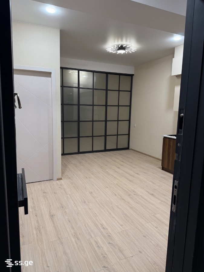 3 room Flat For Sale. Didi digomi - Widok 2