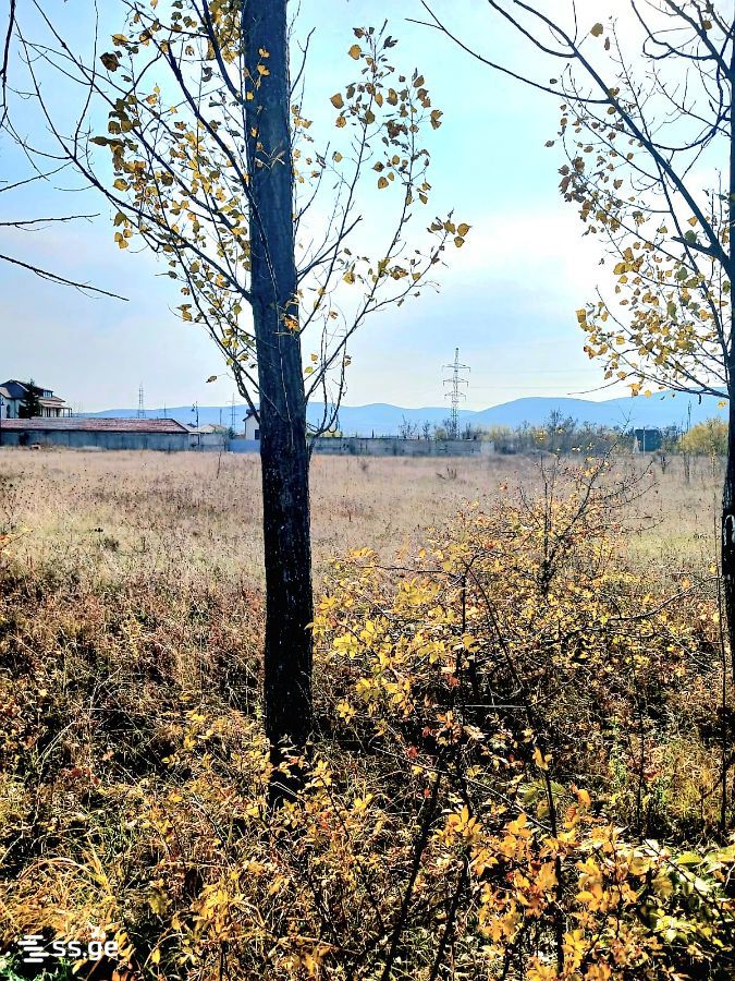 Продажа Земля в базалети view 4