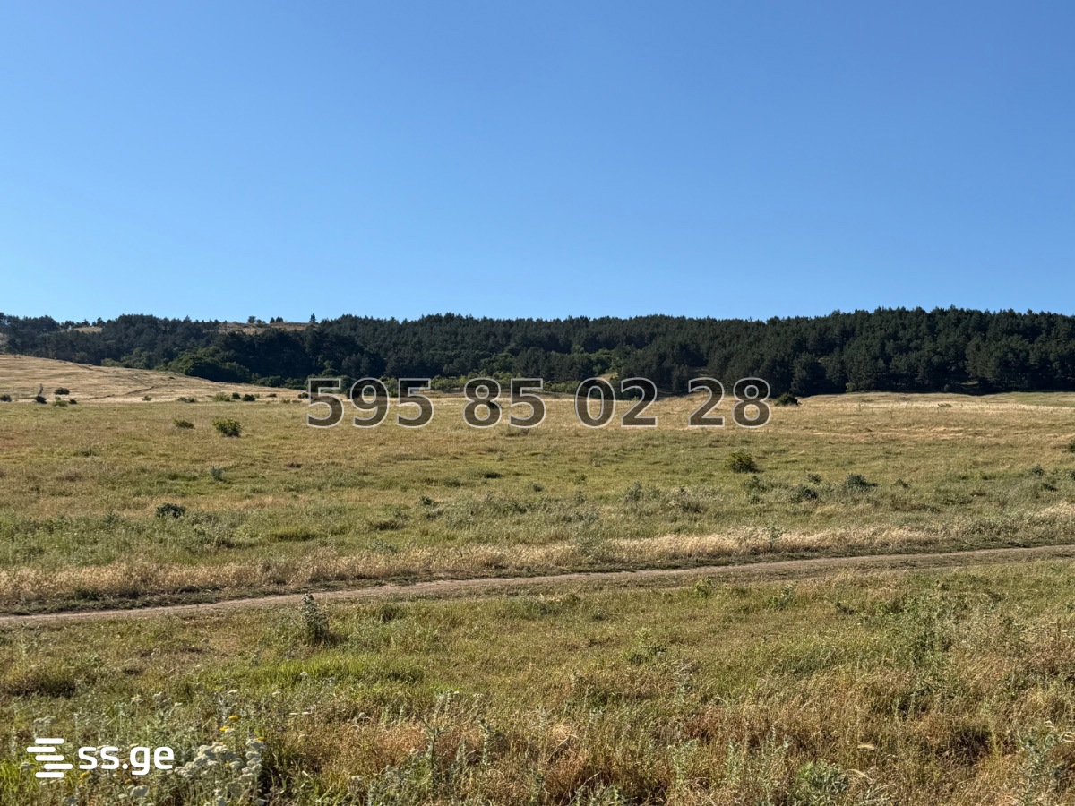 Land For Sale. Mtatsminda view 6
