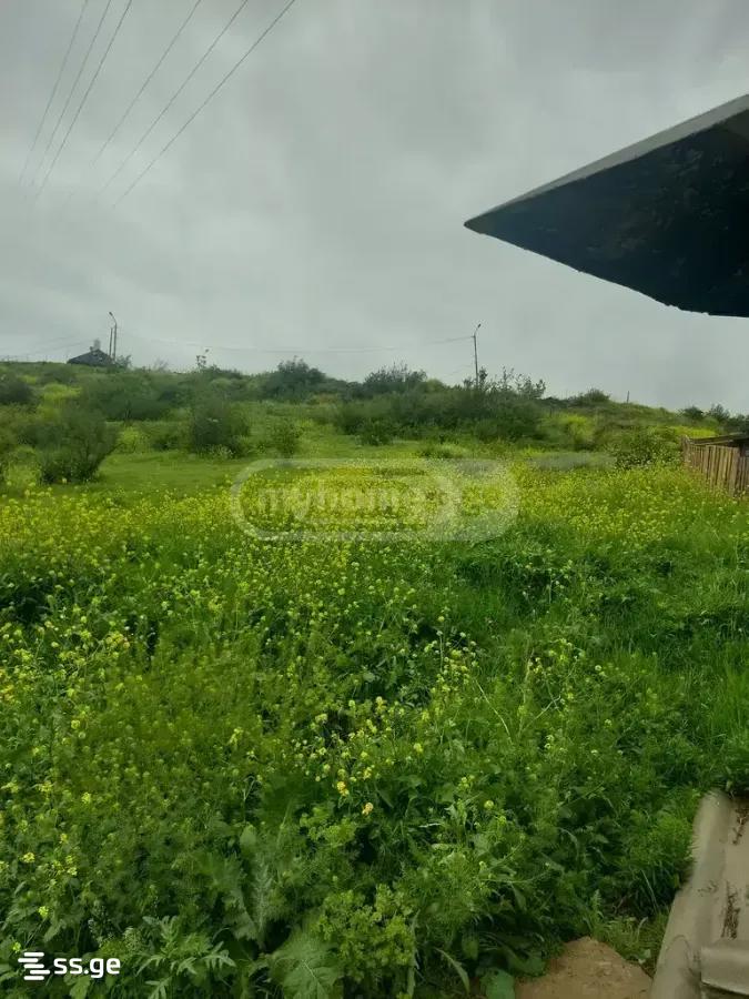 Land For Sale. Nadzaladevi view 5