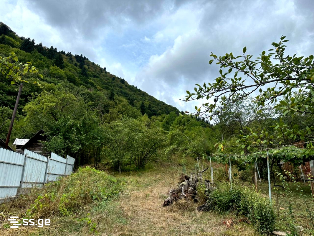 Land For Sale. Borjomi view 1