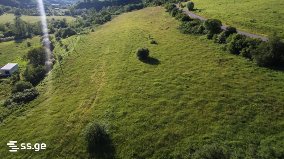 Land For Sale. Manglisi view 5