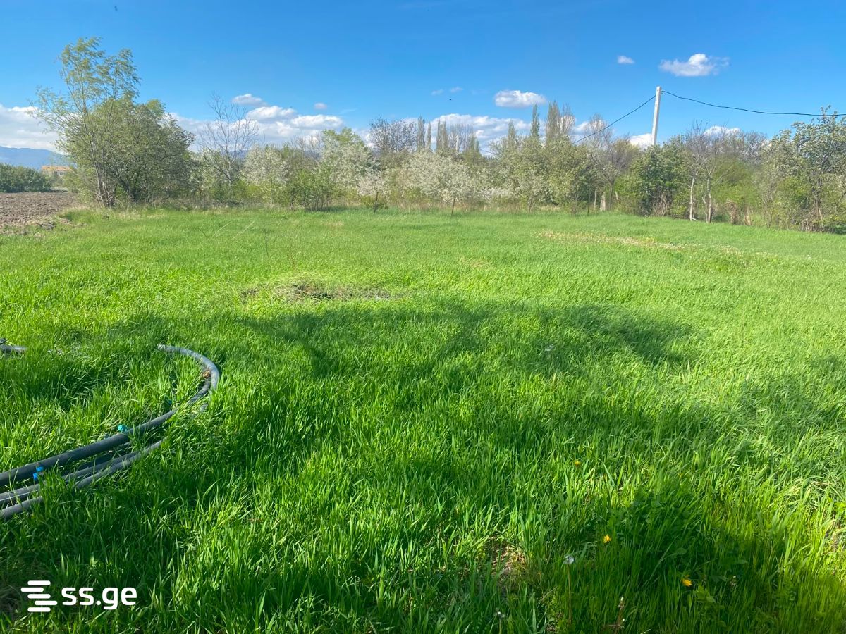 Land For Sale. Gori view 2