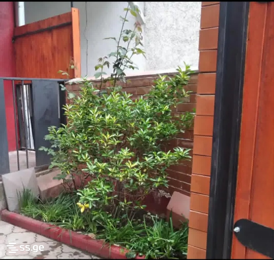 2 Room Flat Daily Rent. Vera view 3