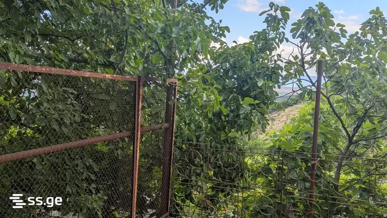 Land For Sale. Tskneti view 3