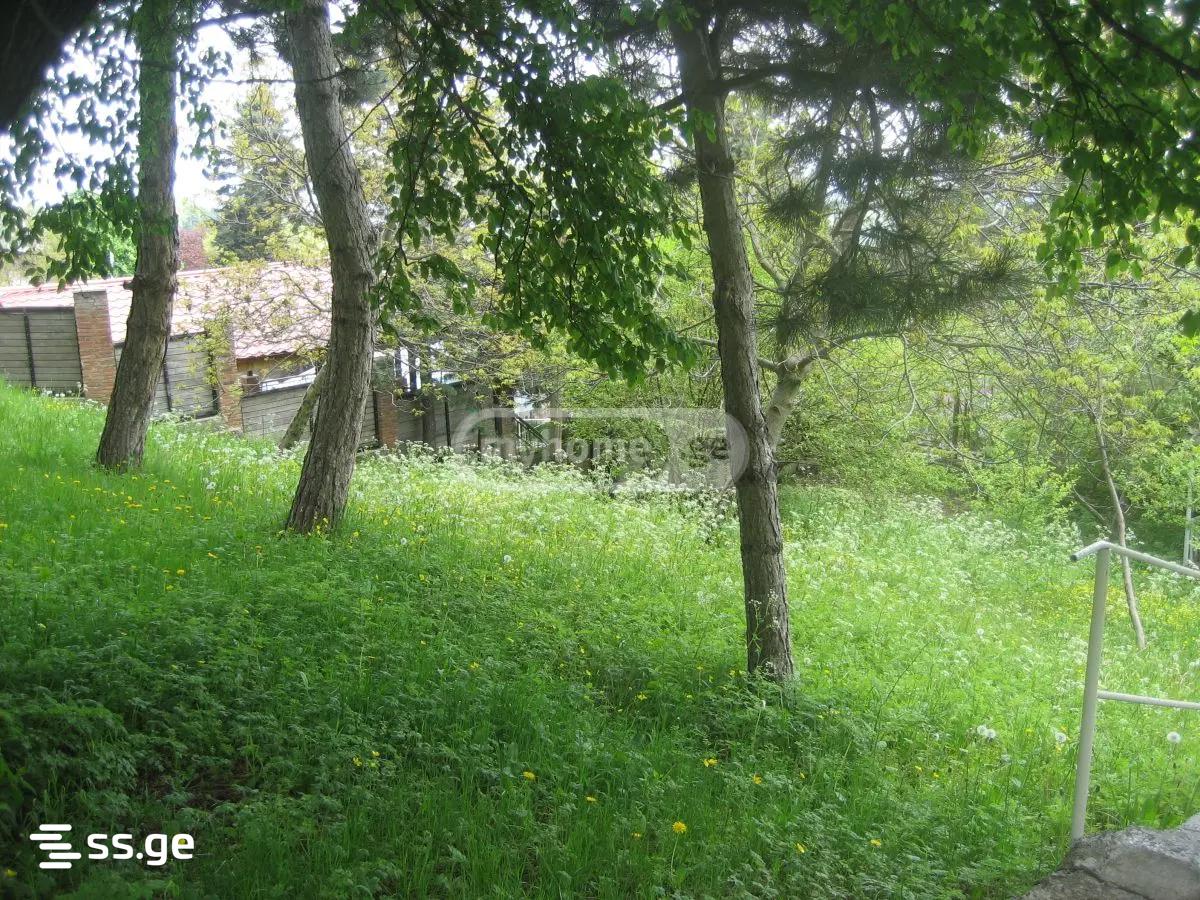 Commercial Space For Sale. Kojori view 12