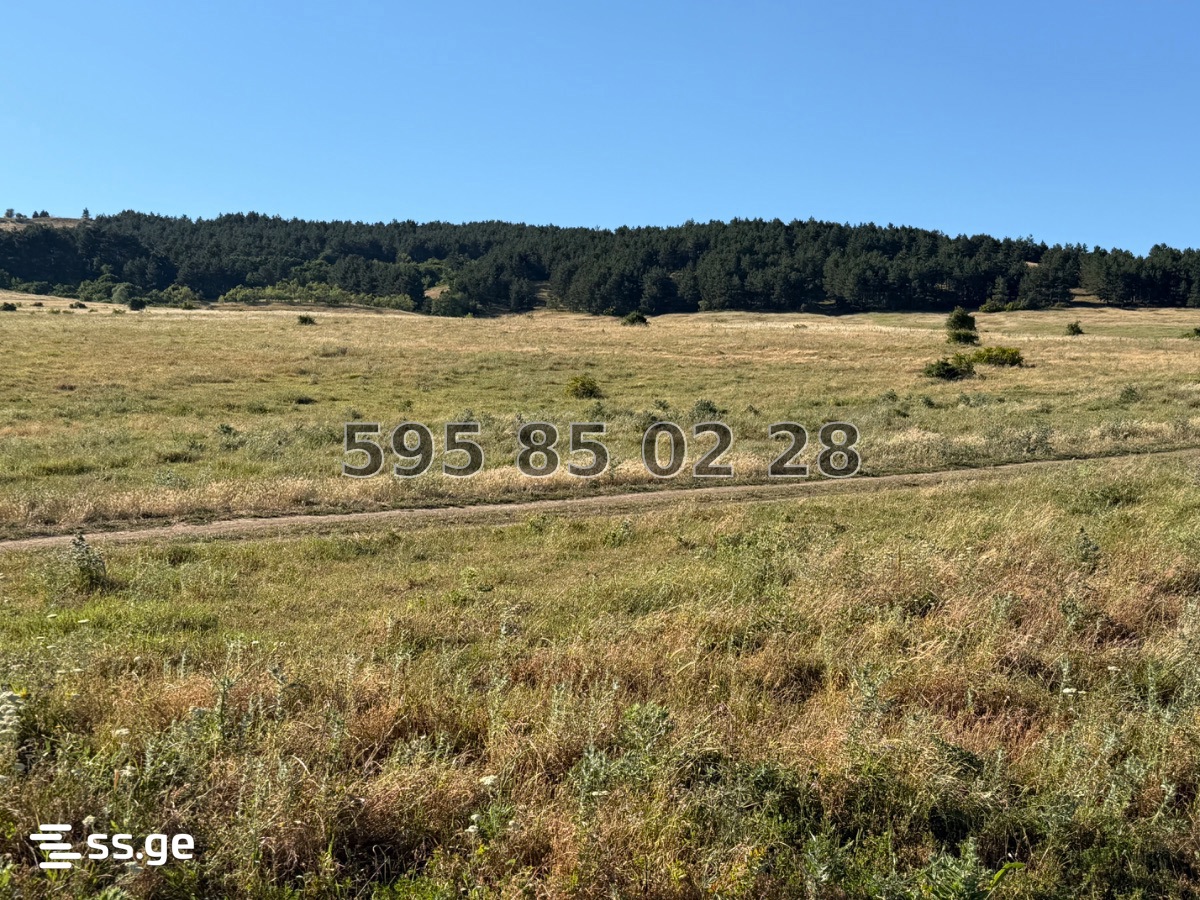 Land For Sale. Mtatsminda view 13