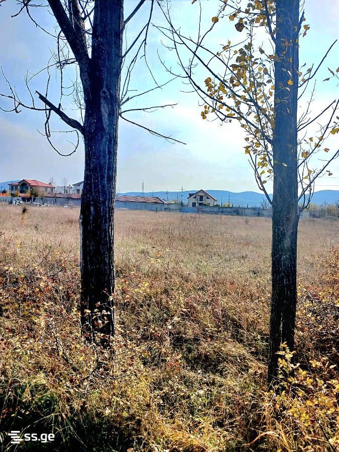 Продажа Земля в базалети view 3
