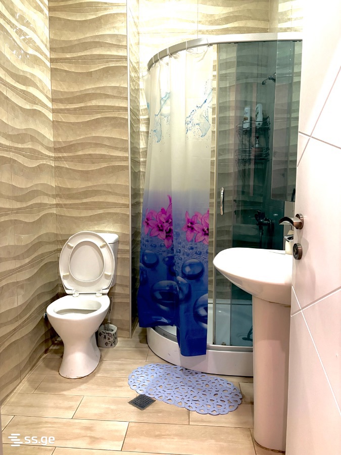 2 Room Flat Daily Rent. Saburtalo, 7 of 10