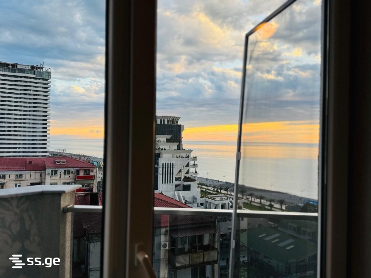 2 Room Flat Daily Rent. Batumi view 5