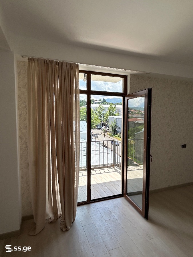 2 Room Flat For Rent. Telavi view 3