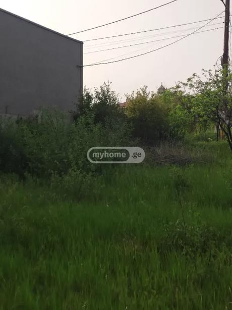https://static.ss.ge/20260703/5_43741f68-ed5a-4a4f-8ffa-98657340161c_Thumb.jpg