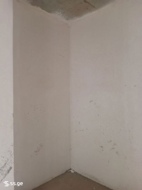 https://static.ss.ge/20260703/5_ca54b66d-0bd0-40ba-96bd-ea8698e23a1d_Thumb.jpg
