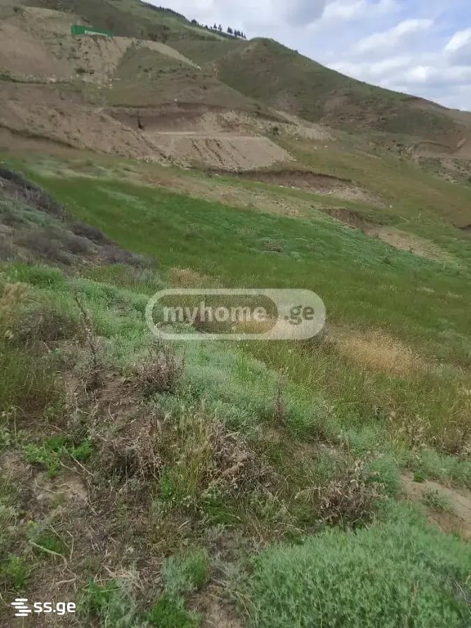 Land For Sale. Krtsanisi view 8
