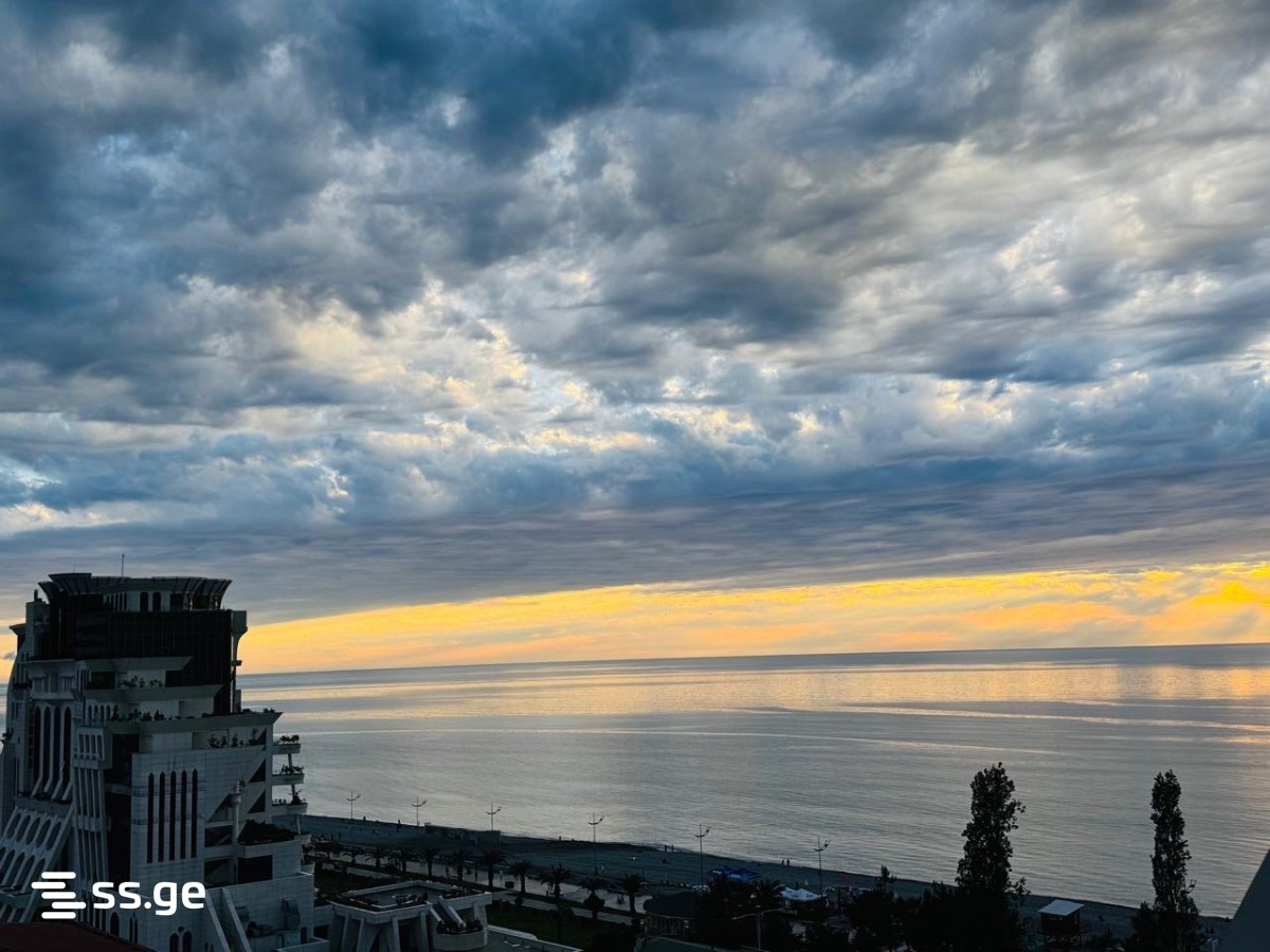2 Room Flat Daily Rent. Batumi view 10