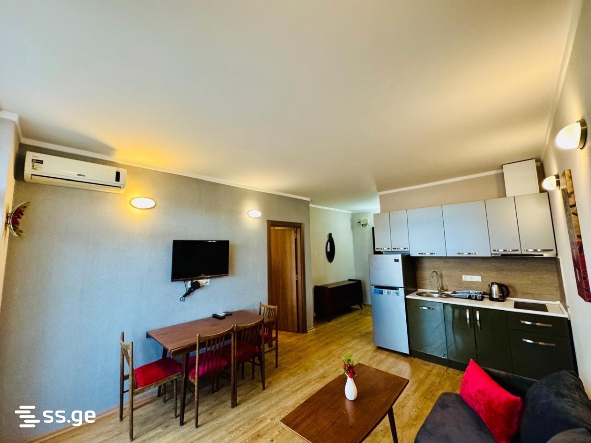 2 Room Flat Daily Rent. Batumi view 7