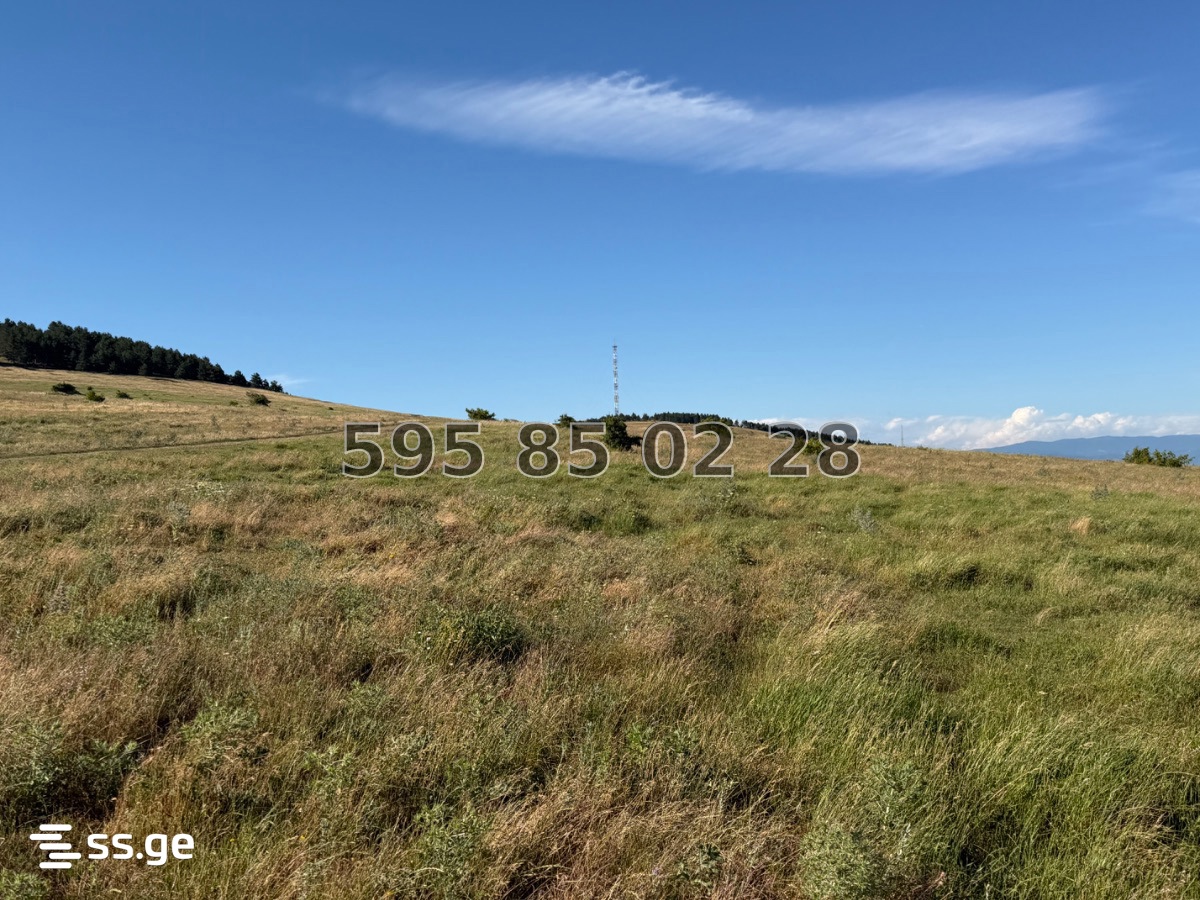 Land For Sale. Mtatsminda view 11