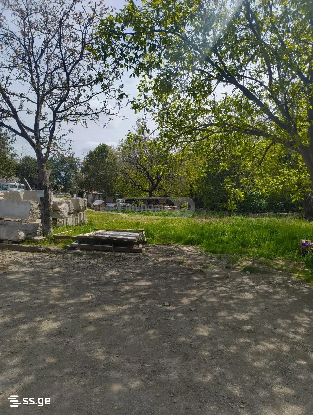 Land For Sale. Isani view 13