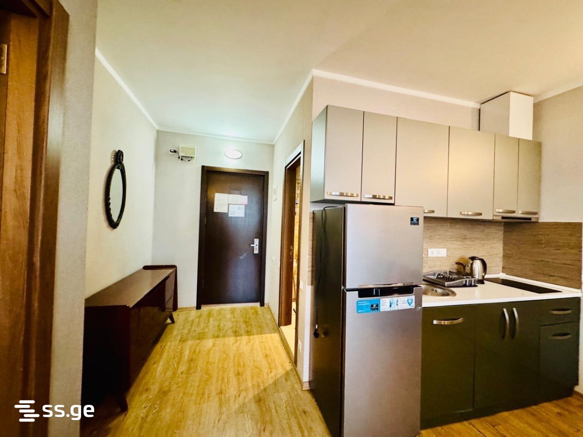 2 Room Flat Daily Rent. Batumi view 8