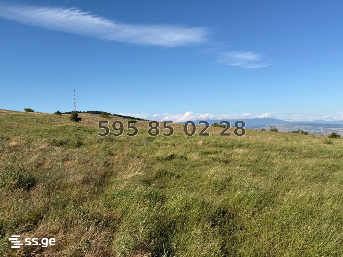 Land For Sale. Mtatsminda view 9
