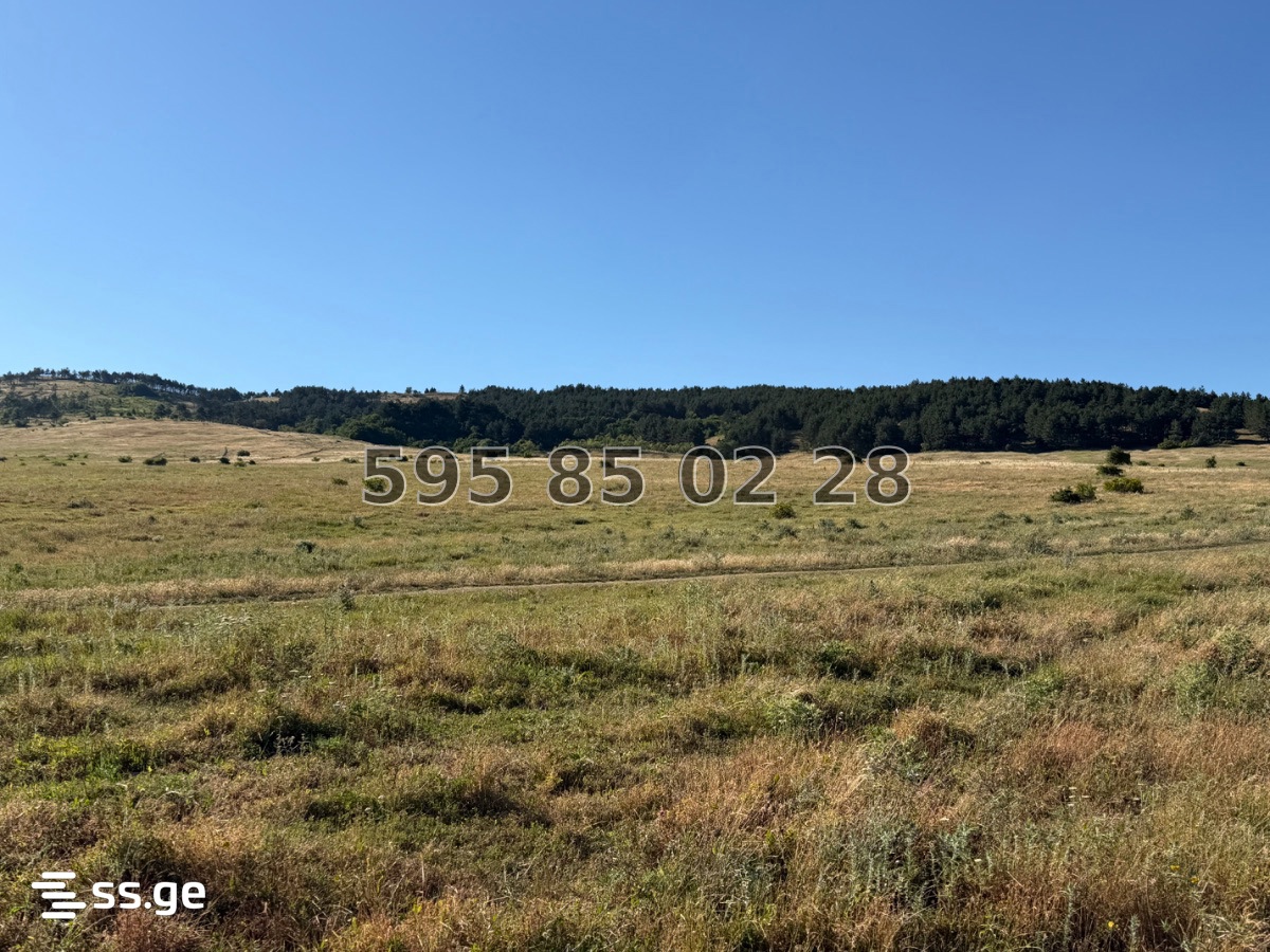 Land For Sale. Mtatsminda view 12
