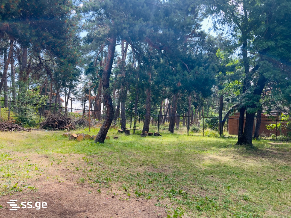 2 Room Summer Cottage For Rent. Kojori view 6