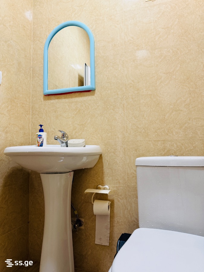 4 Room Private House Daily Rent. Batumi view 2