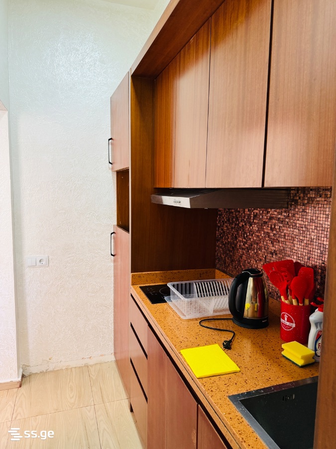 4 Room Private House Daily Rent. Batumi view 3