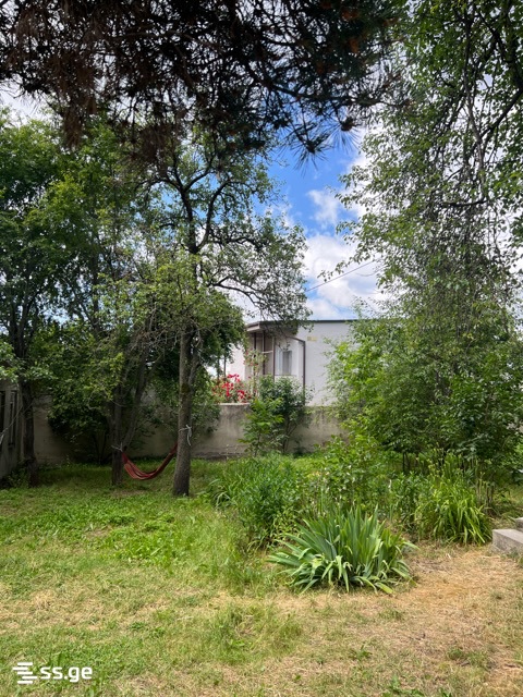 2 Room Summer Cottage For Rent. Kojori view 7