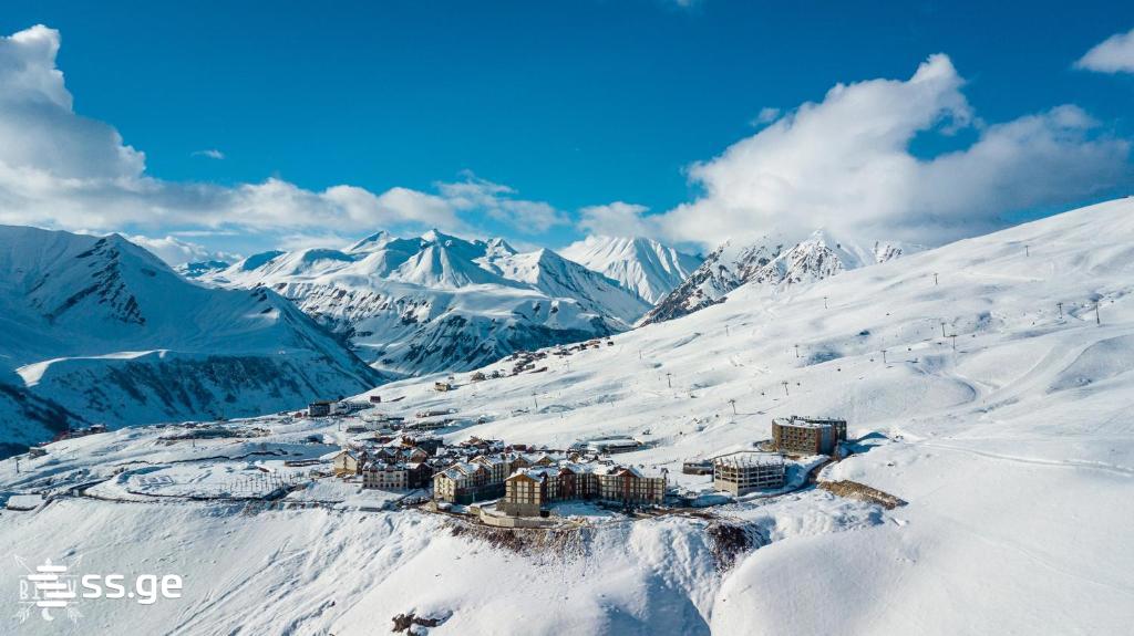 1 Room Flat Daily Rent. Gudauri view 14