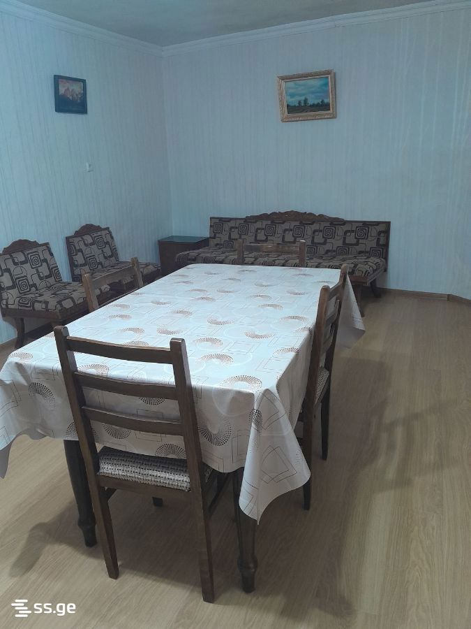 1 Room Private House For Rent. Nadzaladevi view 1