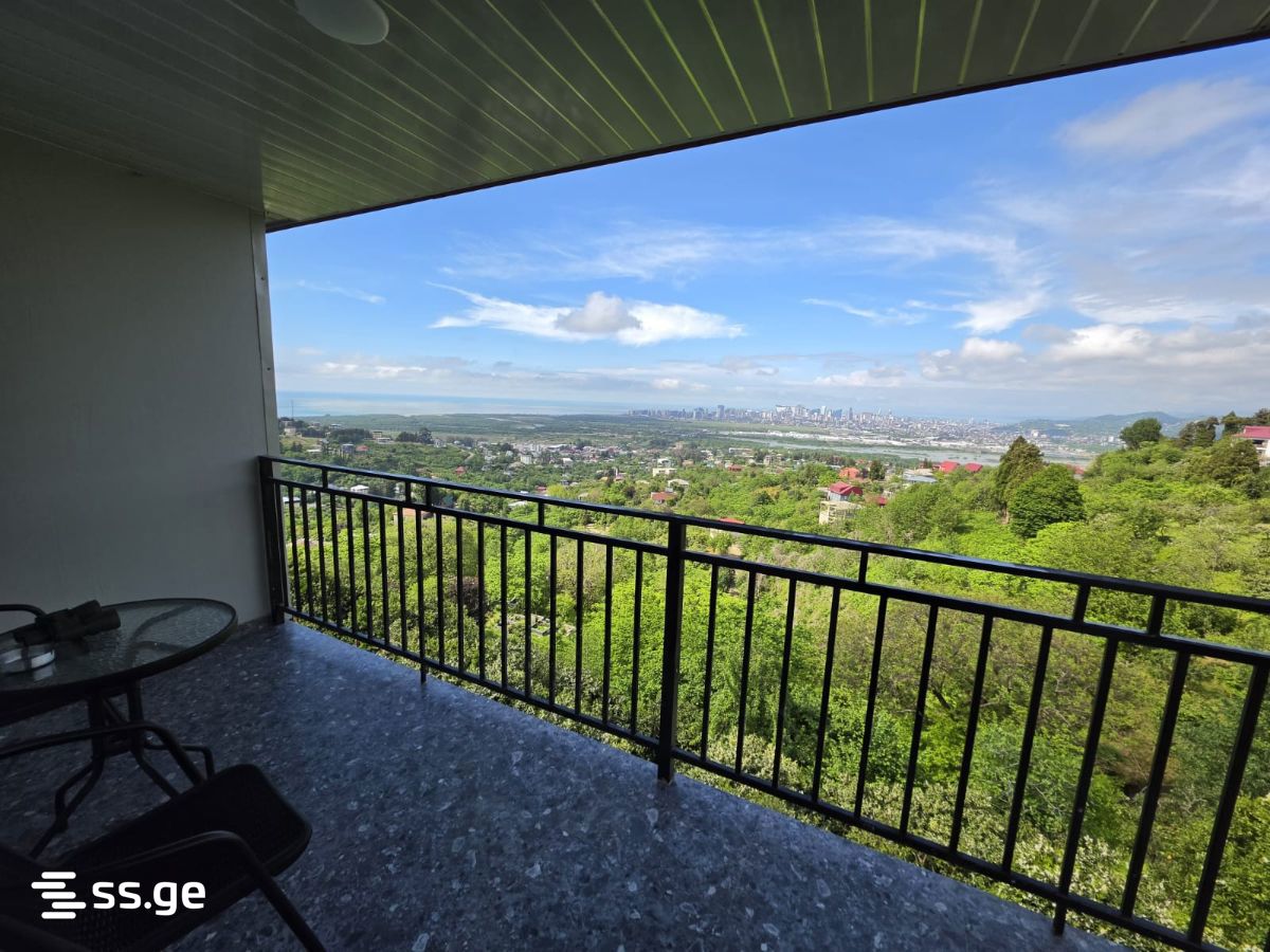 1 Room Flat For Rent. Akhalsopeli view 9