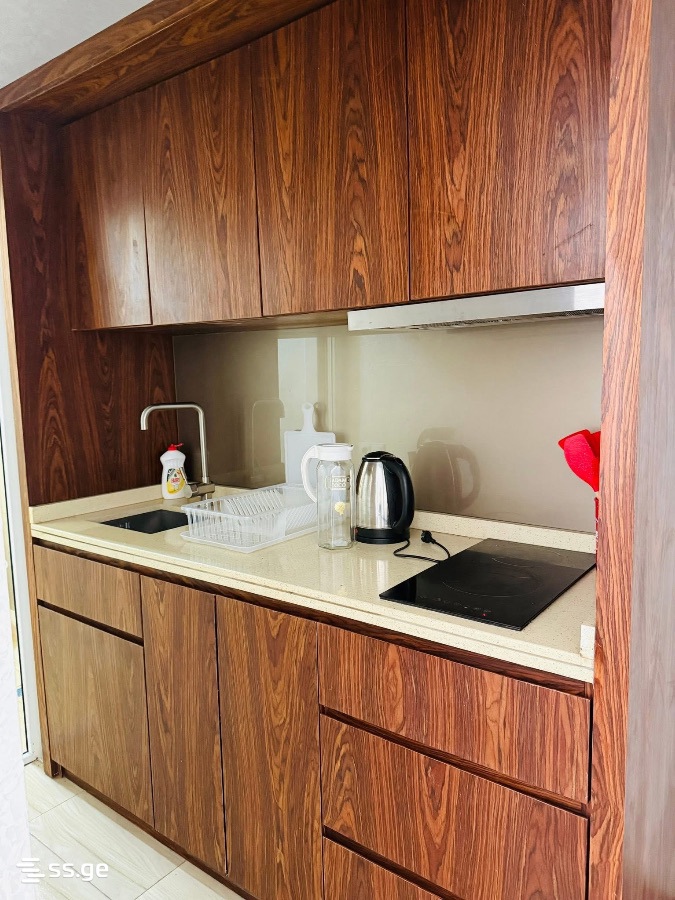 4 Room Private House Daily Rent. Batumi view 1