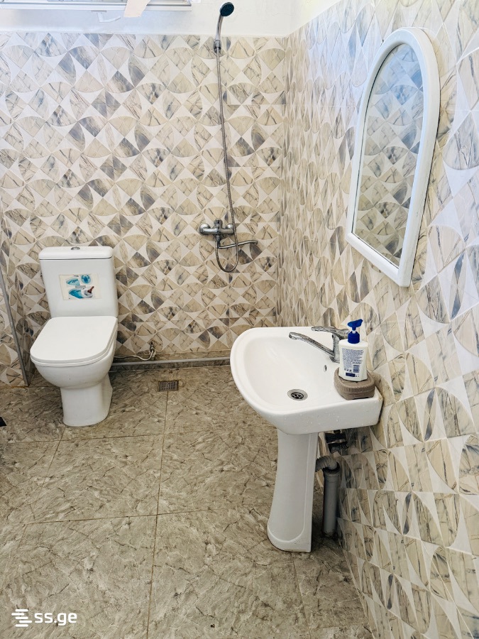 4 Room Private House Daily Rent. Batumi view 9