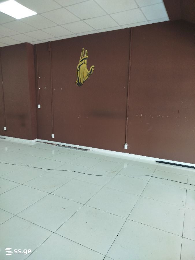 Commercial Space For Rent. Kutaisi view 3