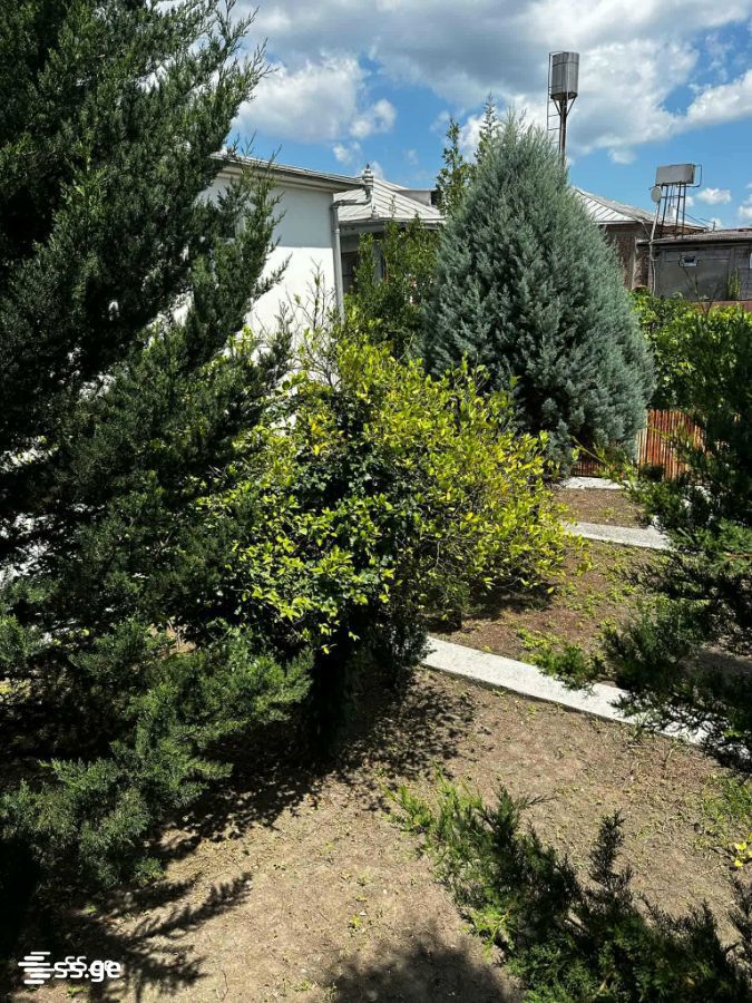 Private House For Sale. Zugdidi view 4