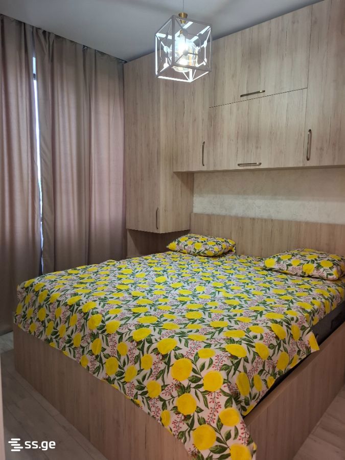 3 Room Flat Daily Rent. Rustavi, 2 of 4