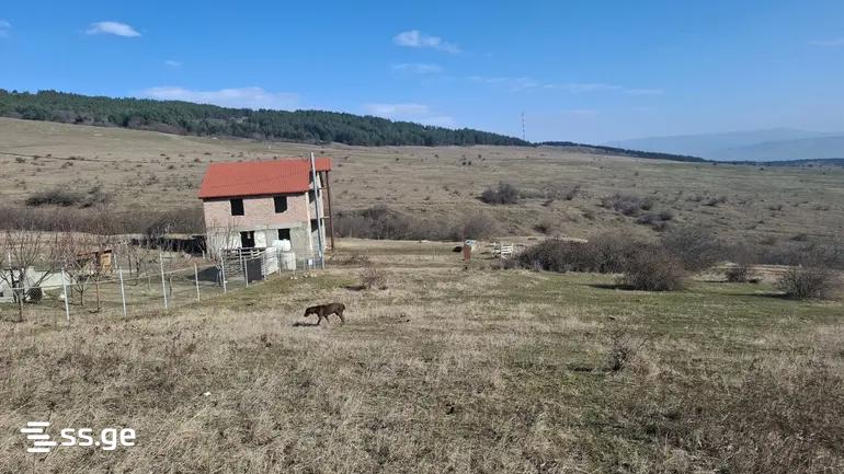 Land For Sale. Avlabari view 4